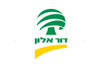 דור אלון